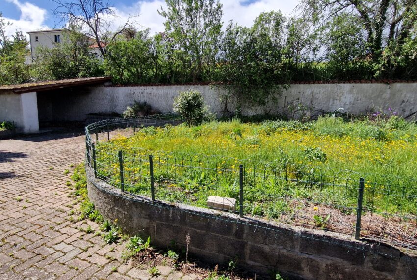 photo_cec07f2efc655ecd239a53c8d5b7d631