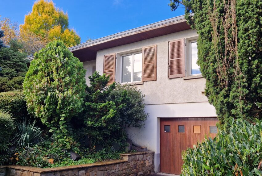 photo_1b4b3662b173e3e496eafd8b2ae75fe6