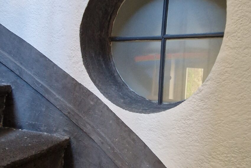 photo_a5544b09df2f766d9a4fc29c548a1657